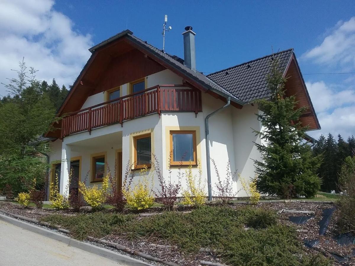 Villapark Lipno Dreams - Pet Friendly Lipno nad Vltavou Ngoại thất bức ảnh